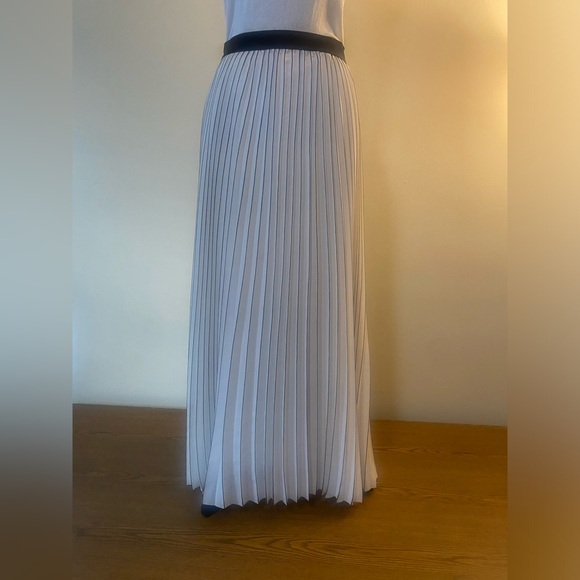 Max Studio Pleated Maxi Skirt - Picture 1 of 6